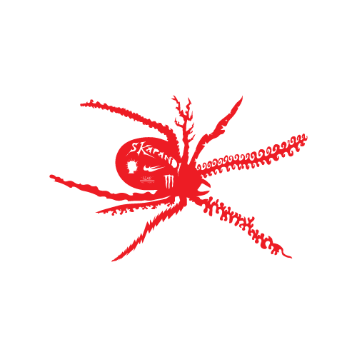 Spider Sticker